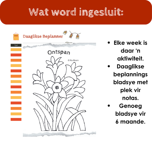 A5 Positiwiteits Beplanner