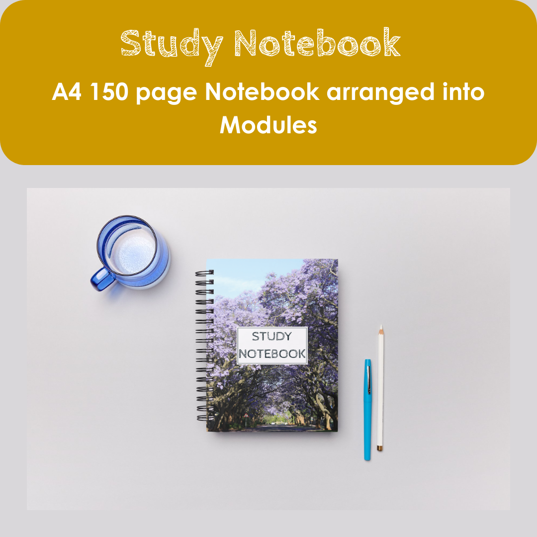 PDF-Study Notebook (Jakarandas)