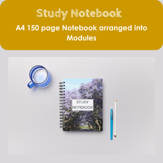 PDF-Study Notebook (Jakarandas)